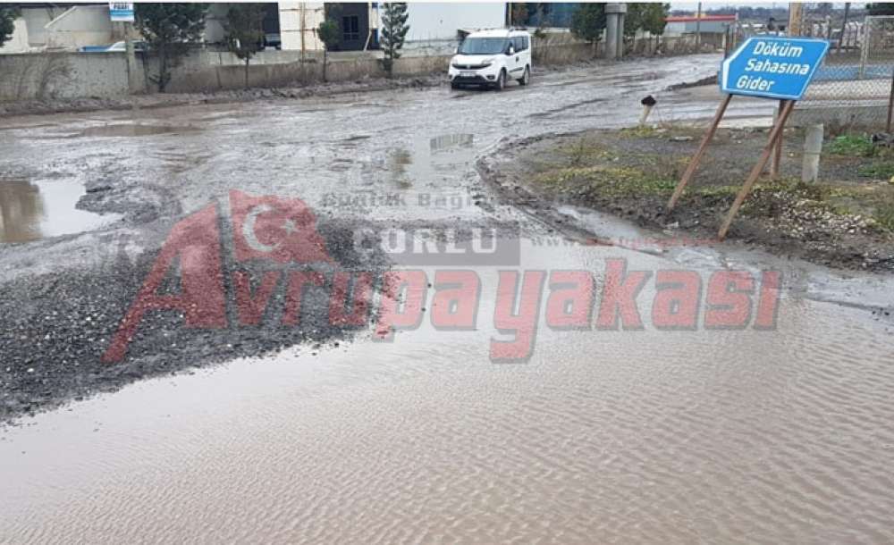 “Araç Muayene Yolu, Dert Yolu”