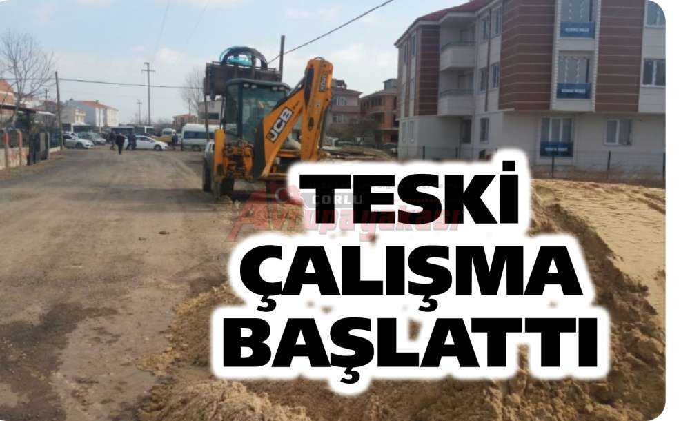 Teski Çalışma Başlattı