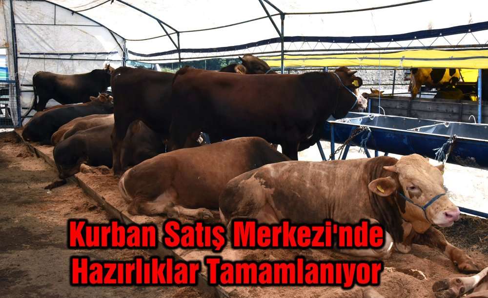 Kurban Satış Merkezi'nde Hazırlıklar Tamamlanıyor