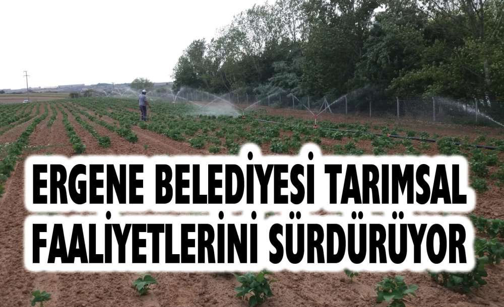 Ergene Belediyesi Tarımsal Faaliyetlerini Sürdürüyor