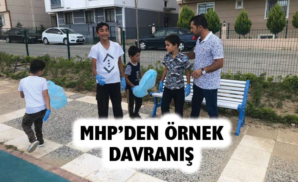 Mhp'den Örnek Davranış 