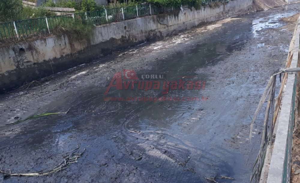 Kumluca Deresi Temizleniyor 