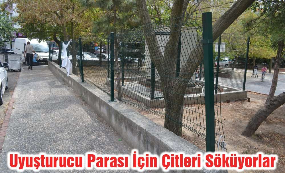 Uyuşturucu Parası İçin Çitleri Söküyorlar