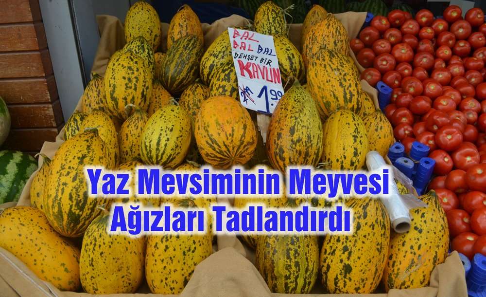 Yaz Mevsiminin Meyvesi Ağızları Tatlandırdı