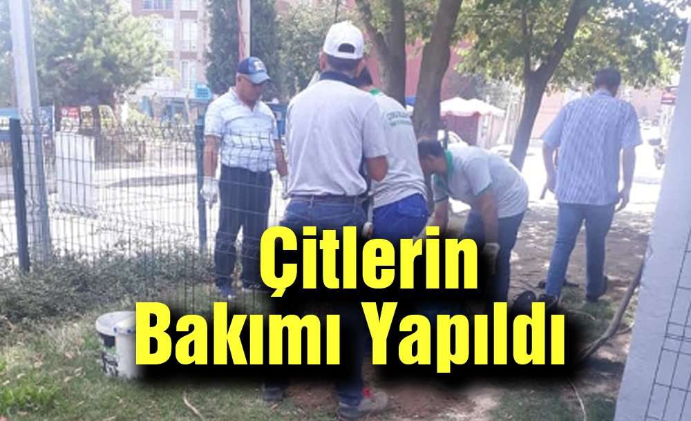 Çitlerin Bakımı Yapıldı