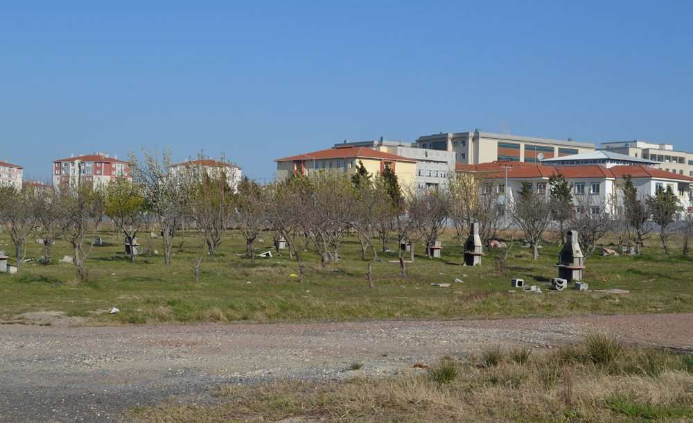 Yeşil Alanlarla İlgili Beklentilerimizi Dile Getiriyoruz