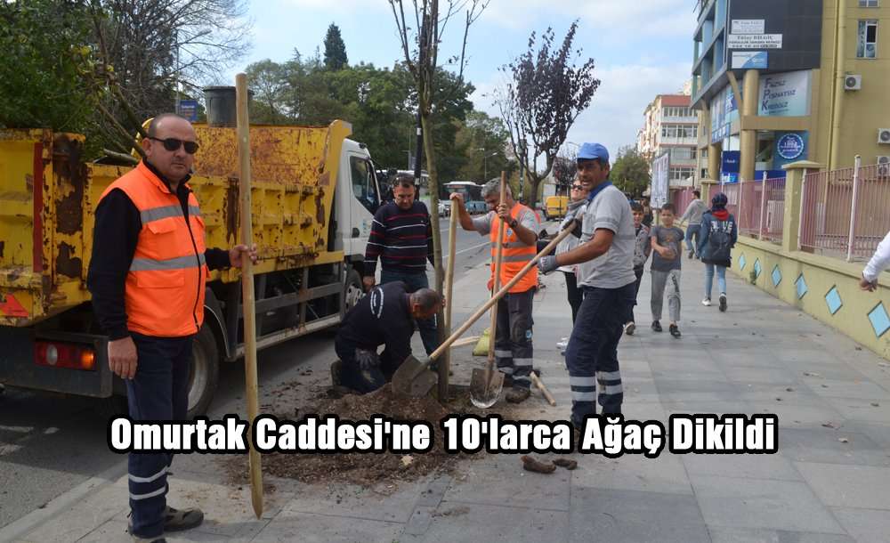Omurtak Caddesi'ne 10'larca Ağaç Dikildi