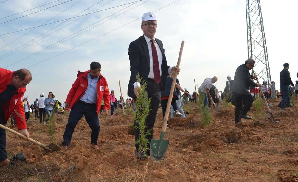 Gelecek İçin 20 Bin Fidan Toprakla Buluştu 