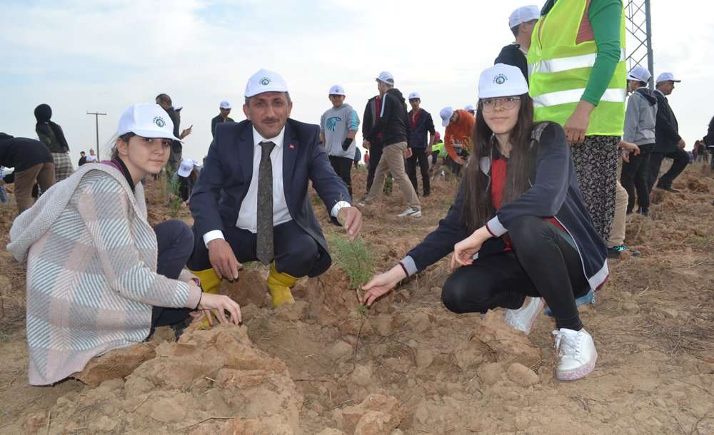 Gelecek İçin 20 Bin Fidan Toprakla Buluştu 