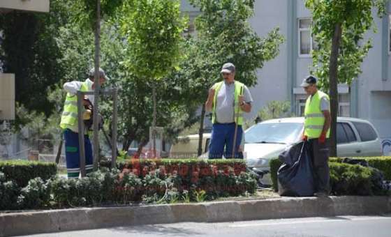 Park Ve Bahçeler Müdürlüğü Çalışıyor