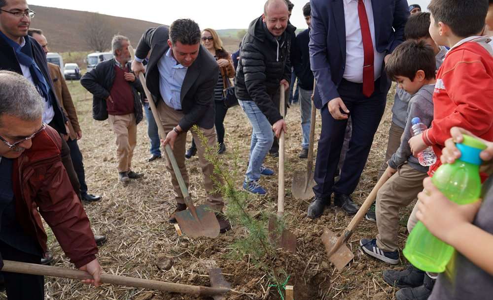 Öğretmenler Ormanı Büyüyor