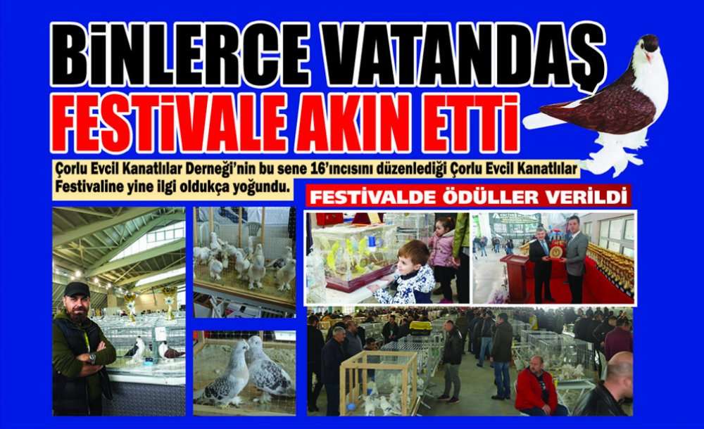 Binlerce Vatandaş Festivale Akın Etti