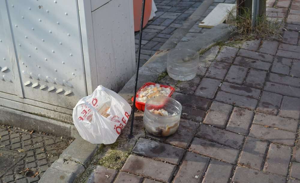“Belediye Bu Konuda Çalışma Yapmalı” 