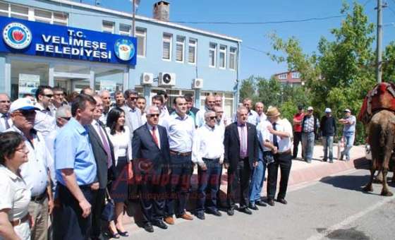 Velimeşe'de 5. Geleneksel Büyük Yağlı Pehlivan Güreşleri Başladı