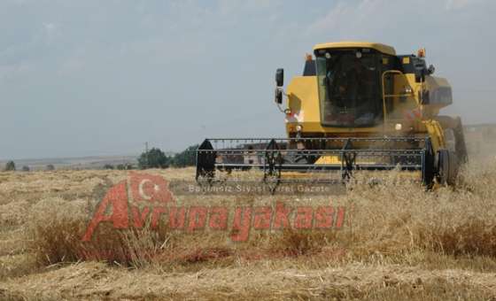 Tmo Hububat Alımlarında Tam Randevulu Sisteme Geçti