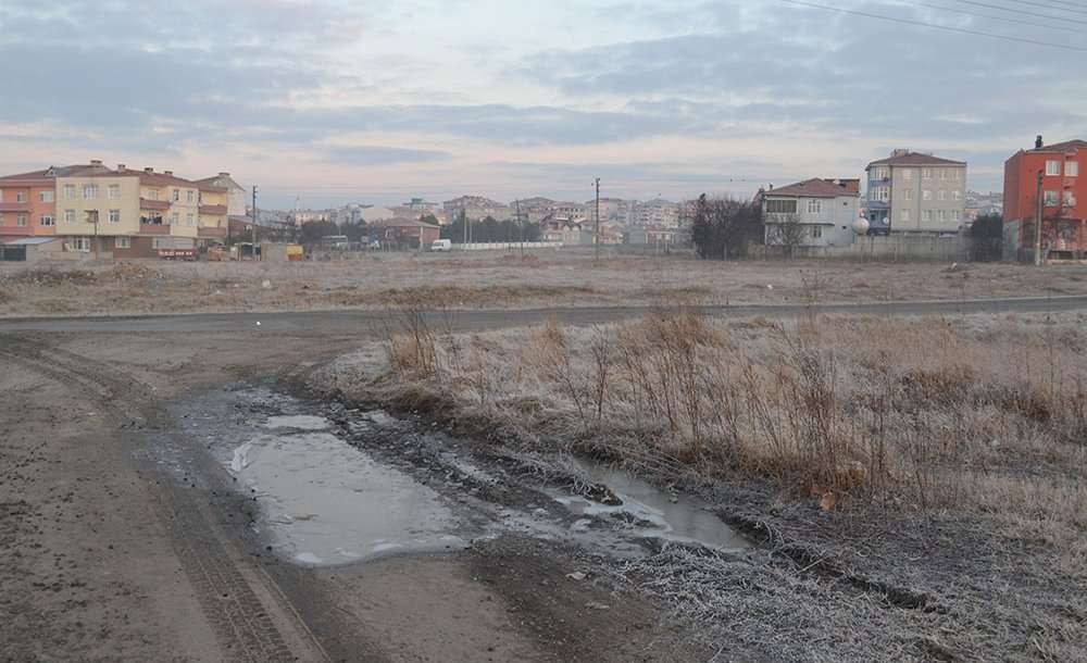 Kar Değil, Kırağı Yağıyor 