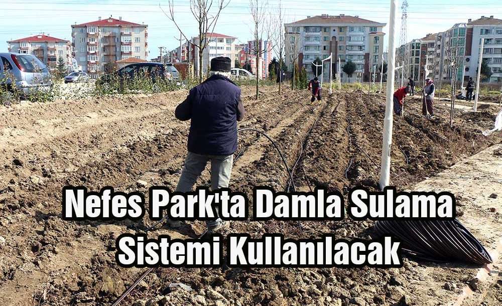 Nefes Park'ta Damla Sulama Sistemi Kullanılacak