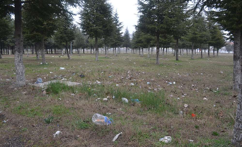 Tema Parkıyla İlgili, Söz Var İcraat Yok 