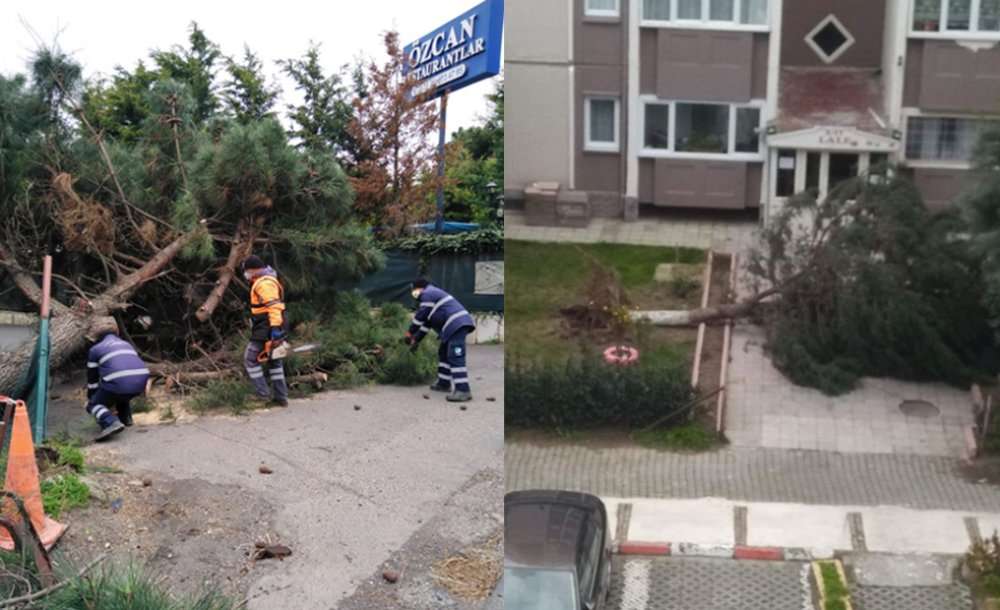Şiddetli Rüzgar Hayatı Olumsuz Etkiledi 