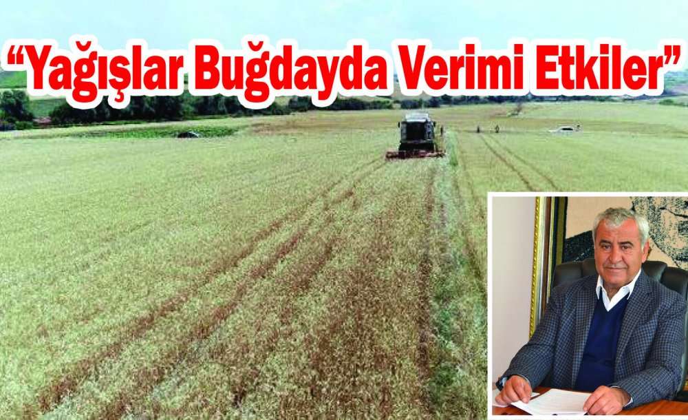 “Yağışlar Buğdayda Verimi Etkiler”