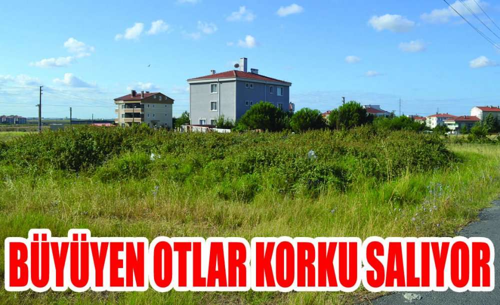 Büyüyen Otlar Korku Salıyor 