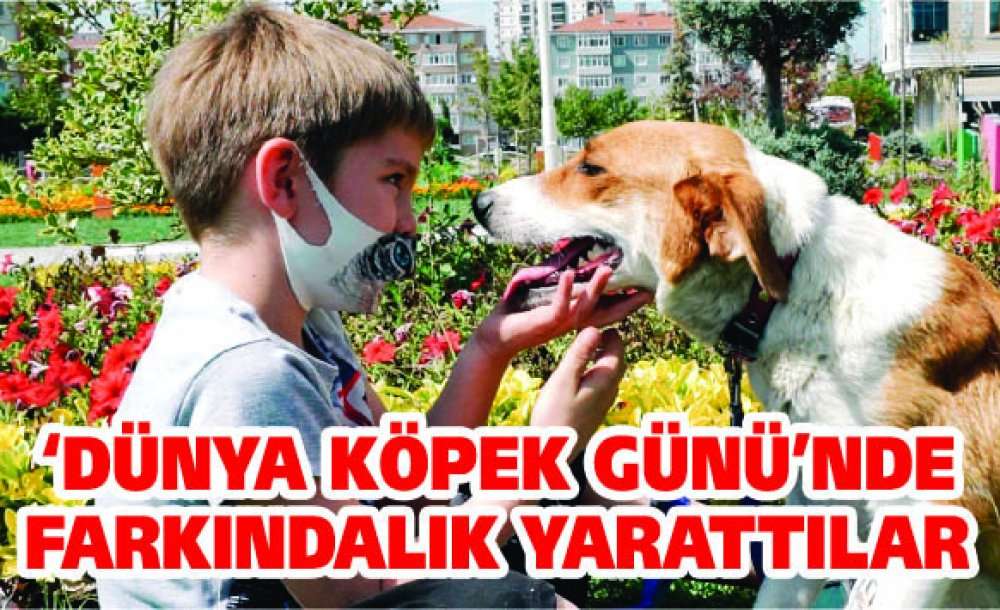 ‘Dünya Köpek Günü'nde Farkındalık Yarattılar