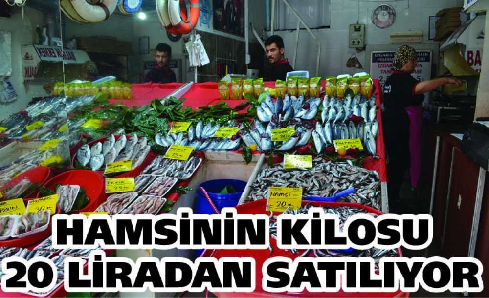 Hamsinin Kilosu 20 Liradan Satılıyor 