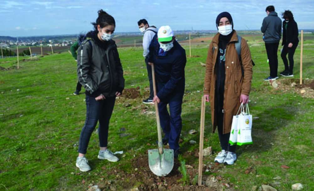 Çorlu'da Ağaçlar Toprakla Buluştu 