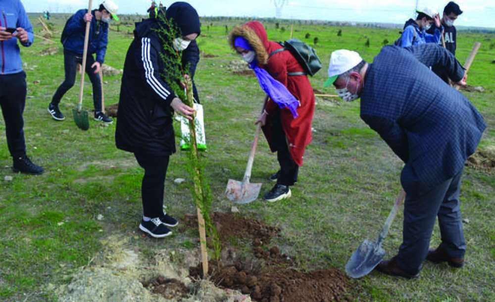 Çorlu'da Ağaçlar Toprakla Buluştu 