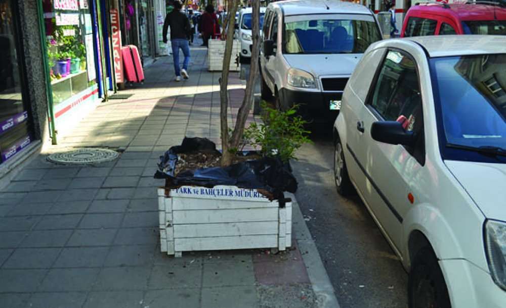 Kırılan Saksılar Kaldırıldı 