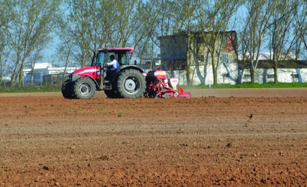 Tarımda Girdi Maliyetleri Yüzde 12 Arttı 