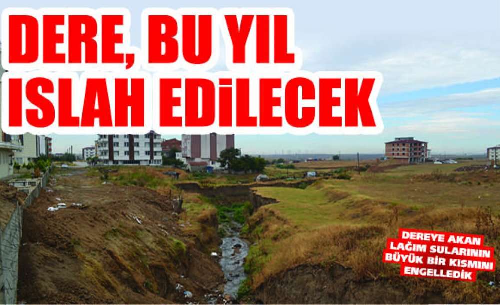 Dere, Bu Yıl Islah Edilecek