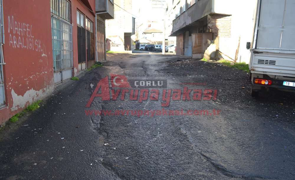“Ağacı Çiçeği Geçtik, Bizler Yol İstiyoruz”   