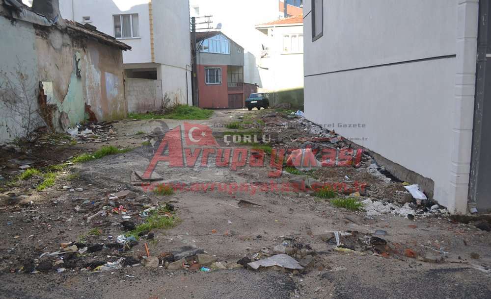 “Ağacı Çiçeği Geçtik, Bizler Yol İstiyoruz”   