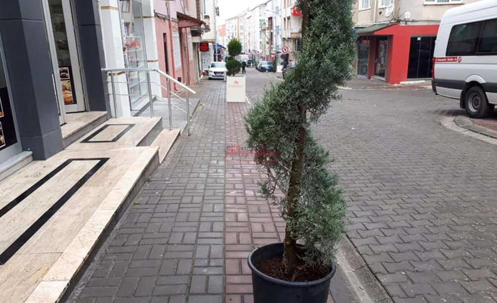 “Ağacı Çiçeği Geçtik, Bizler Yol İstiyoruz”   