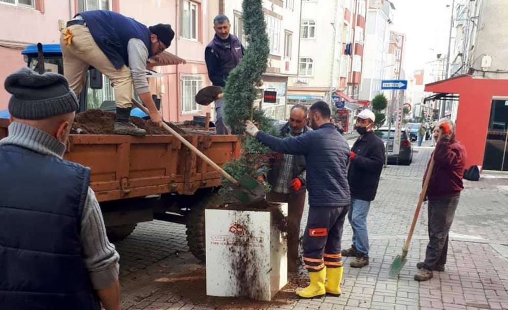 “Ağacı Çiçeği Geçtik, Bizler Yol İstiyoruz”   