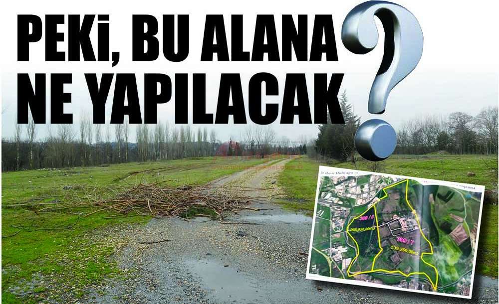 Peki, Bu Alana Ne Yapılacak?