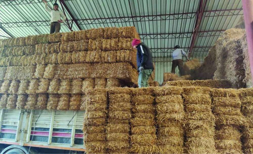 Artvin Dereiçi Köyü'ne Saman Yardımı Gönderildi 