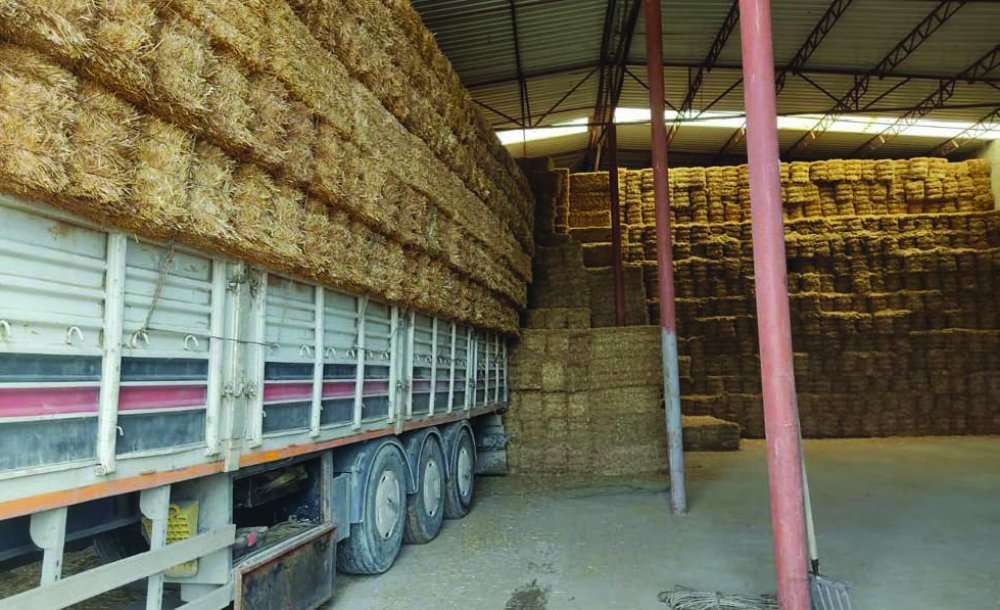Artvin Dereiçi Köyü'ne Saman Yardımı Gönderildi 