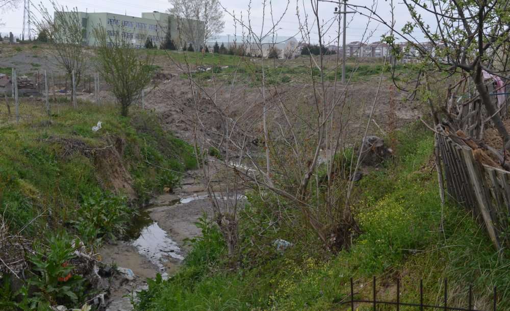 Derenin Kokusu Ve Suyu Kesildi 