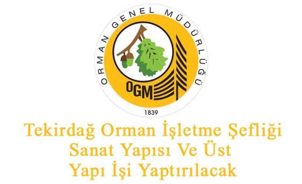 Sanat Yapısı Ve Üst Yapı İşi Yaptırılacak