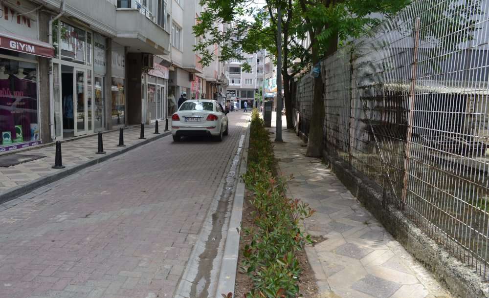 Yenilenen Refüje Süs Bitkisi Dikildi  