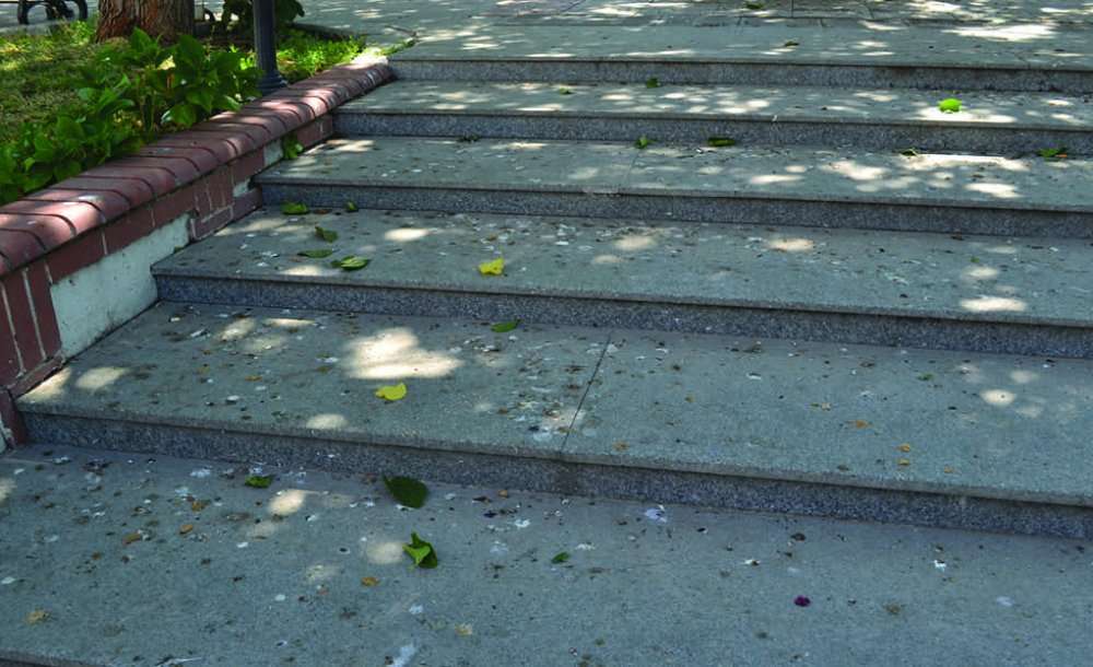 Müzenin Önü Pislikten Geçilmiyor!