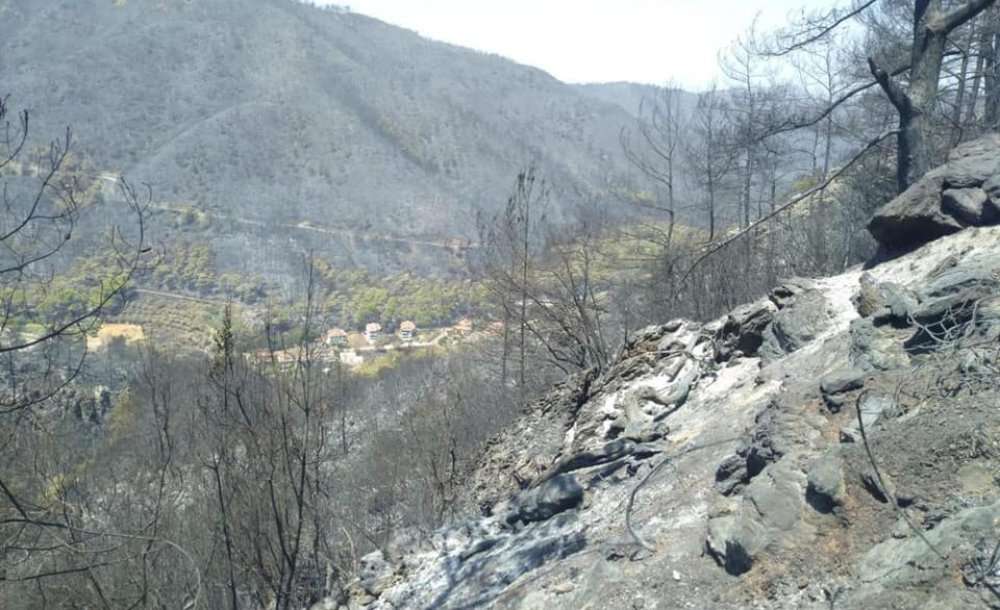 Büyükşehir, Çorlu Ve Ergene Belediyeleri Yardıma Koştu