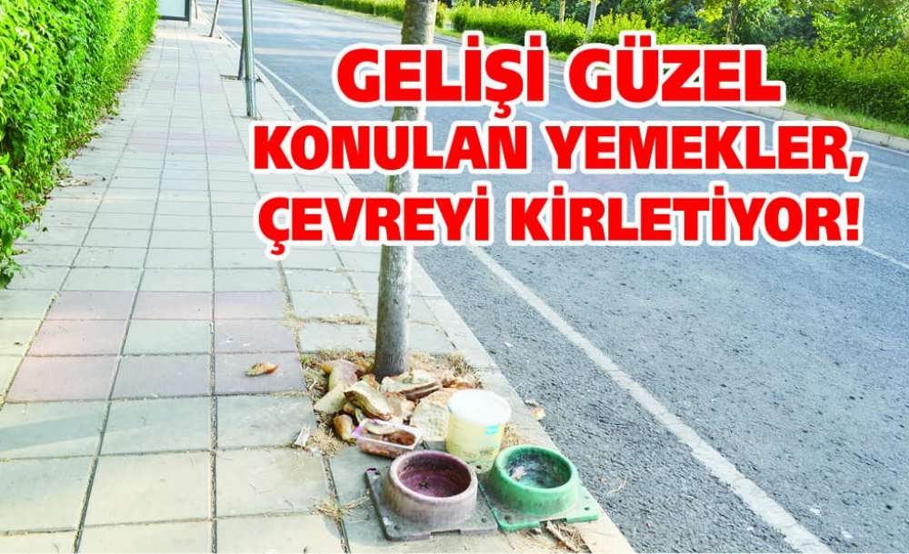 Gelişi Güzel Konulan Yemekler, Çevreyi Kirletiyor!