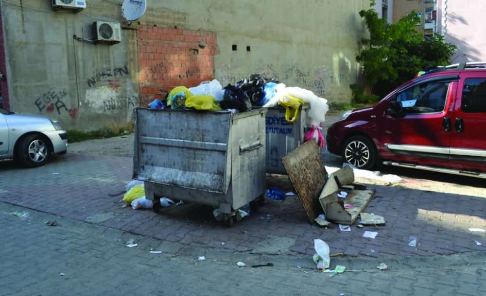 Yine Çöp Kutusu Yine Rezalet 