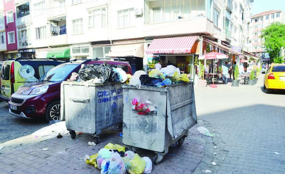Yine Çöp Kutusu Yine Rezalet 