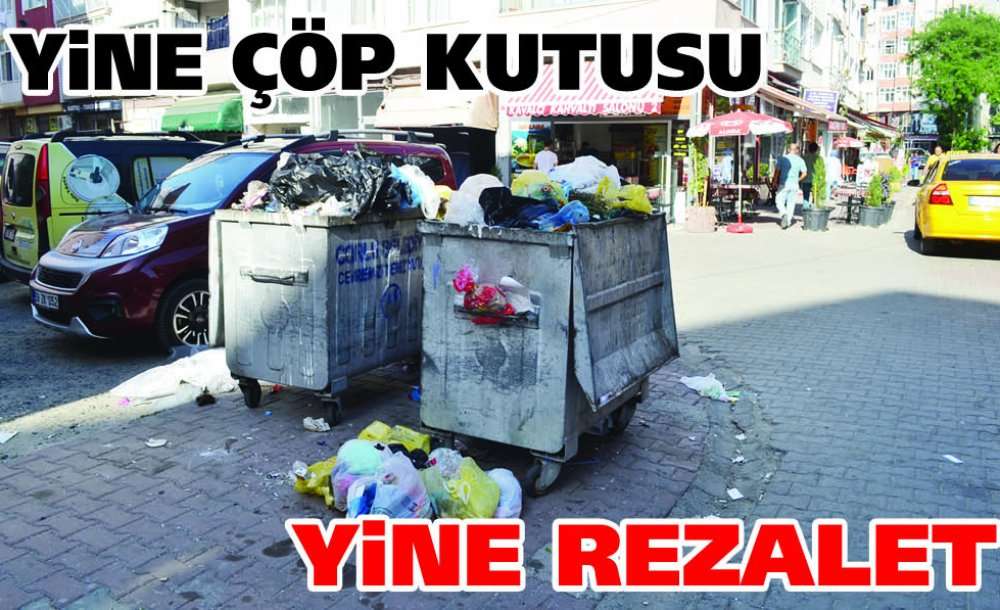 Yine Çöp Kutusu Yine Rezalet
