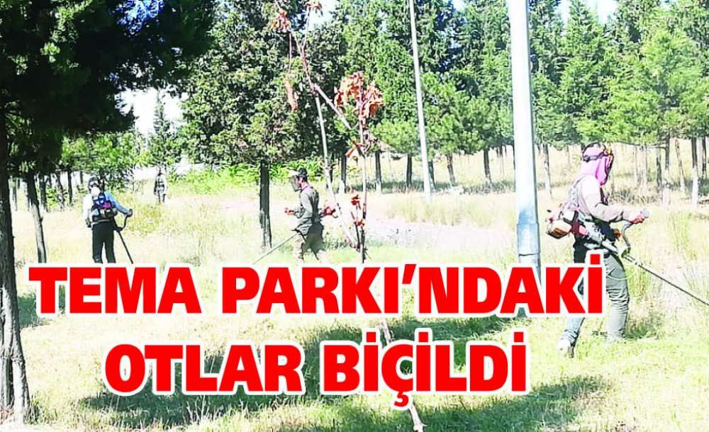 Tema Parkı'ndaki Otlar Biçildi