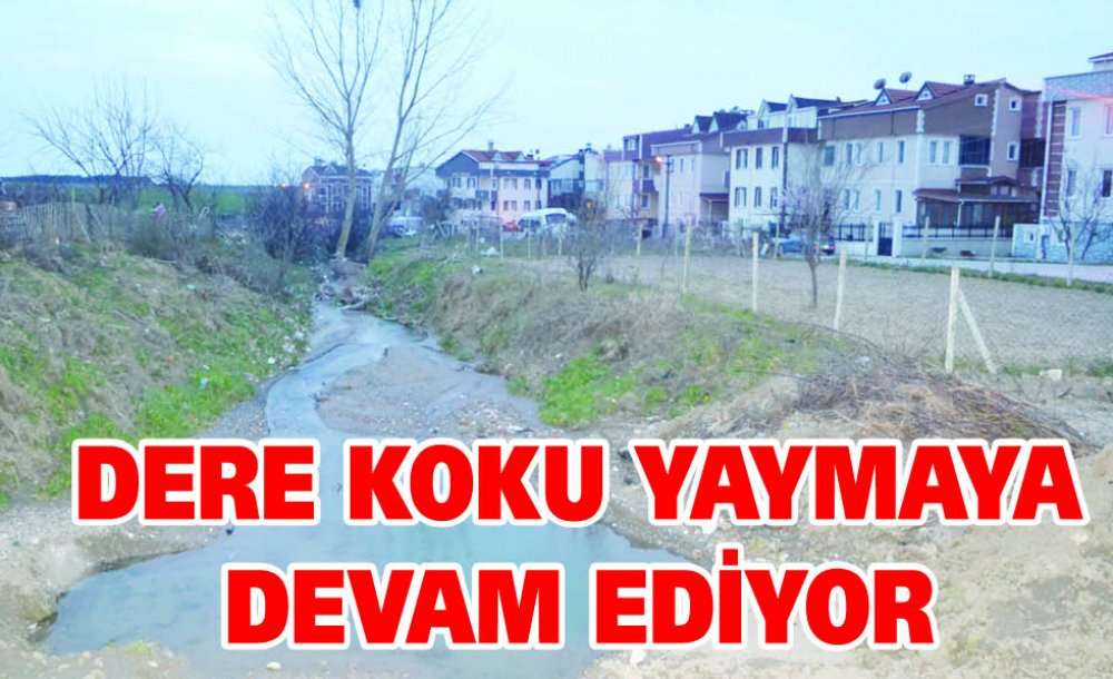 Dere Koku Yaymaya Devam Ediyor